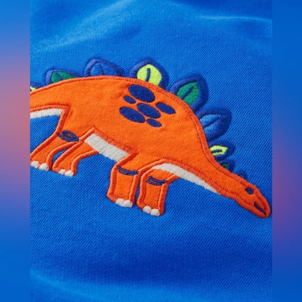 Gymboree Boys Dino Colorblock Fleece Hoodie - Dino Friends